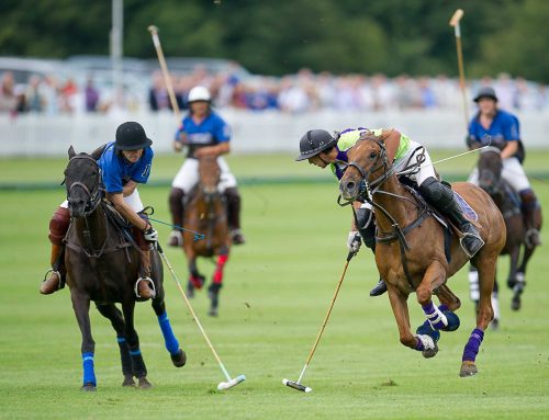 Ewhurst Plate – 8th June